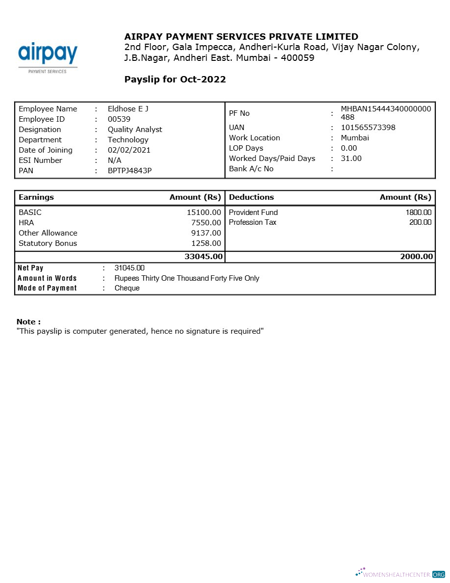 Download Airpay Payment Services payslip template in Word and PDF formats.pdf, 1 Photoshop template